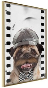 Poster  Dressed Up Pug  Cornice Quadri Cornice d'oro, Larghezza x Altezza Home decor 30x45