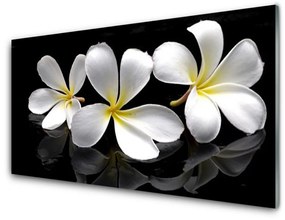 Quadro su vetro Pianta di fiori 100x50 cm