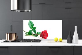 Pannello cucina paraschizzi Natura della pianta del fiore della rosa 100x50 cm