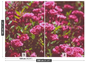 Carta da parati Rose rosa 104x70 cm