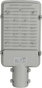 Lampione LED SAMSUNG CHIP LED/30W/230V 4000K IP65