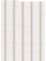 Coordonne Carta da parati Stripe 2 - Curry