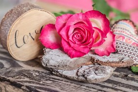Carta da parati – Rosa d'amore