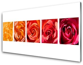 Quadro acrilico Rose, fiori, piante 100x50 cm