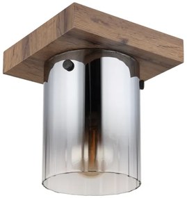 Globo 15915-1 - Plafoniera UNDERWOOD 1xE27/40W/230V 16x18 cm