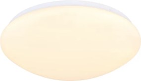 Globo 4167-18D - Plafoniera LED dimmerabile GWENDOLIN LED/18W/230V