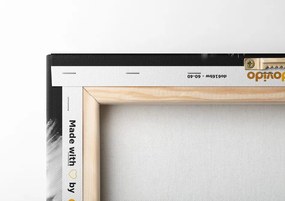 Stampa su tela – Dente di leone in bianco e nero