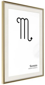 Poster  Zodiac: Scorpio II  Cornice Quadri Cornice d'oro con passe-partout, Larghezza x Altezza Home decor 30x45