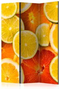 Paravento separè Agrumi (3 parti) - frutti tropicali arancioni succosi