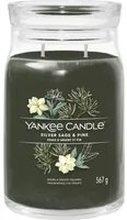 Silver Sage Pine, candela giara grande Yankee Candle