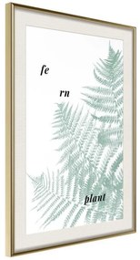 Poster  Pale Green Fern  Cornice Quadri Cornice d'oro con passe-partout, Larghezza x Altezza Home decor 20x30