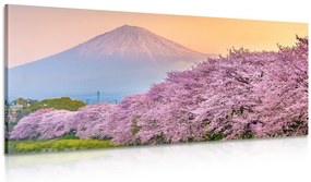 Quadro su tela – Meraviglioso Giappone