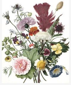 KEK Amsterdam Carta da parati panoramica Wild Flowers 1 - XS