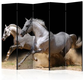 Paravento design Galoppo sulla sabbia II (5 parti) - cavalli bianchi su sfondo nero