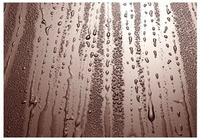 Fotomurale  Autumn drizzle  Colore Beige, Dimensioni e Misure 300x210