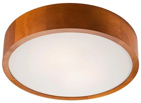 Lampada da soffitto 2xE27/60W/230V