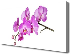 Quadro su tela Orchidea Fiori di orchidea 100x50 cm