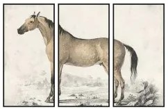 Quadro DKD Home Decor Cavallo (180 x 4 x 120 cm)