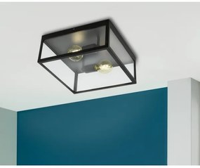 Eglo 49392 - Plafoniera CHARTERHOUSE 2xE27/60W/230V