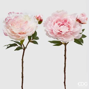 EDG peonie set 2 fiori con boccioli h 54