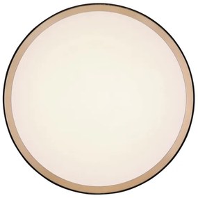 Globo 41765-12 - Plafoniera LED SAMMI LED/12W/230V 3000/4500/6000K