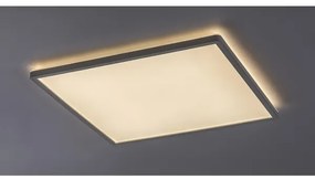 Rabalux 3430 - Plafoniera LED dimmerabile PAVEL LED/22W/230V