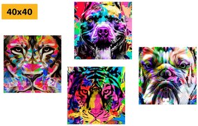 Set di quadri – In interessante stile pop art