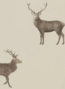 Hirsch Tapete Evesham Deer von Sanderson - Birch