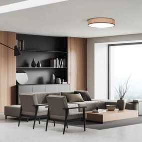 Solight WO8003-LED BROWNIE LED/48W/230V 3000-6500K Ø40cm con DO