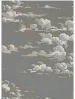 Wolken Tapete Silvi Clouds von Sanderson - Taupe Grey