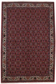 Sandjan Tappeto 220x140 (Iran)