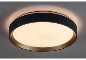 Rabalux 71185 - Plafoniera LED LIATRIS LED/25W/230V 3000K diametro 38 cm