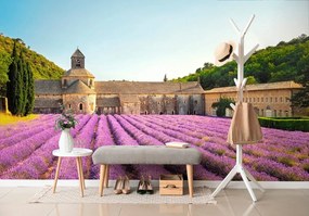 Carta da parati – Provenza con campi di lavanda