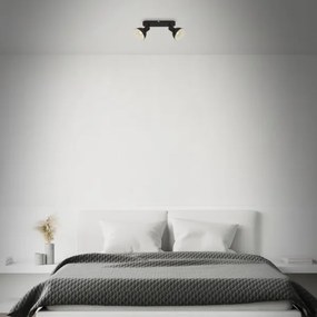 Briloner 2674-025 - Faretto RETRO 2xE14/25W/230V nero