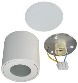 Plafoniera da esterno FARA 1xGU10/50W/230V IP54 bianca