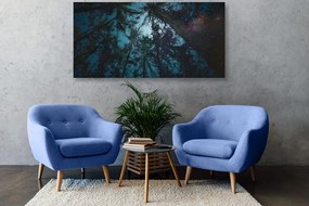 Stampa su tela – Foresta sotto il cielo notturno