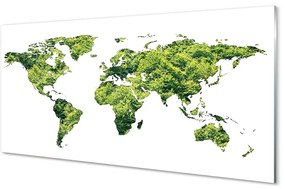 Quadro vetro Mappa dell'erba verde 100x50 cm
