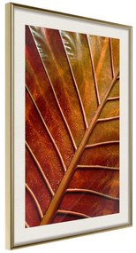 Poster  Bronze Leaf  Cornice Quadri Cornice d'oro con passe-partout, Larghezza x Altezza Home decor 20x30