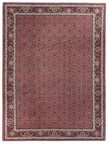 Bidjar Tappeto 350x250 (Iran) Annodato A Mano