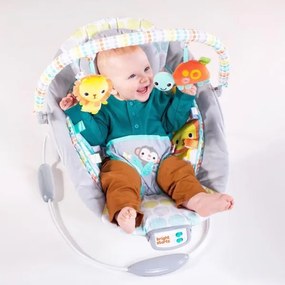 Bright Starts - Lettino vibrante per bambini con melodia WHIMSICAL WILD 3xLR14