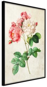 Poster  Romance II  Cornice Quadri Cornice nera, Larghezza x Altezza Home decor 20x30