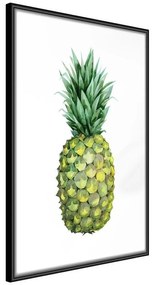 Poster  Unripe Pineapple  Cornice Quadri Cornice nera, Larghezza x Altezza Home decor 60x90