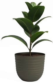 Vaso in plastica riciclata ø 20 cm Havana - Artevasi