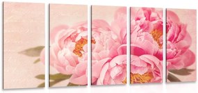 Quadri 5 pezzi – Peonia delicata