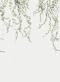 Sandberg Carta da parati panoramica Aralia - Moss-Green