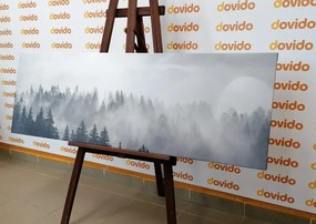 Quadro su tela – Nebbia sopra la foresta in bianco e nero