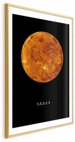 Poster - Venus Cornice d'oro con margine 21x30