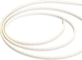 Striscia LED Smart 5 Metri CCT 30W 350 lm 2700 - 6500K IP44 Incl. Picchetti