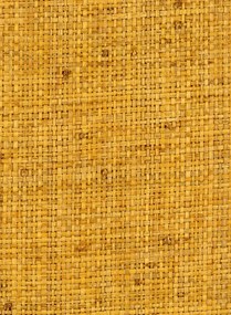 Élitis Carta da parati Cesteria - RM 1017 21