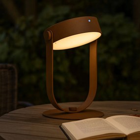 Piantana Solare da Giardino 300 Lumen "LMS-078" Corten